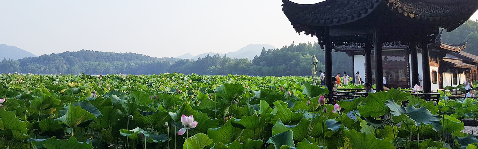 China, Hangzhou, Summer Engineering Program  